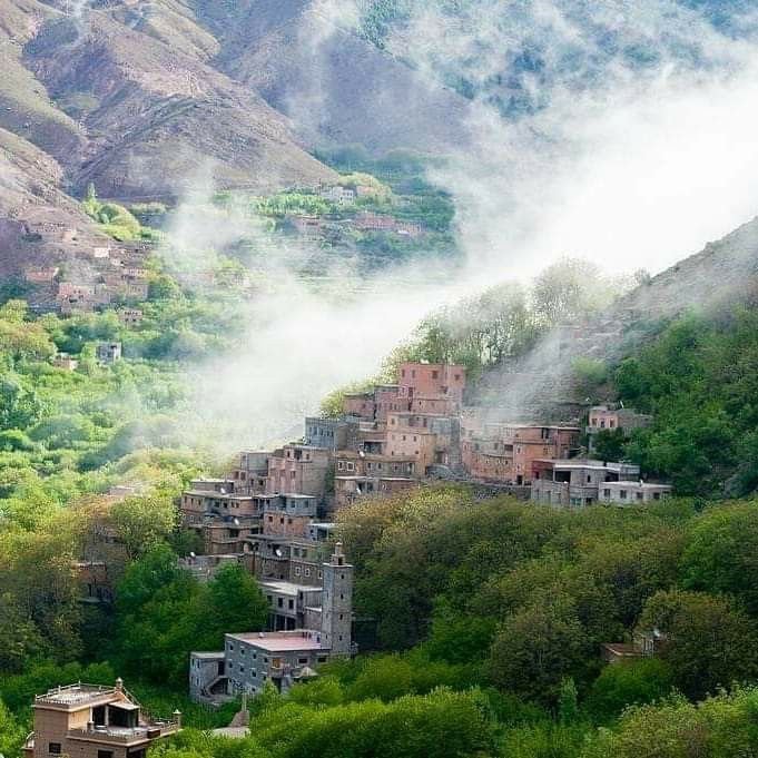 Depart from Marrakesh and head towards the Ourika Valley