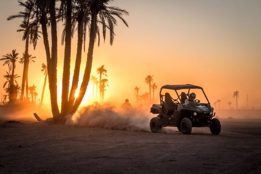 Buggy ride in Marrakesh Palmeraie